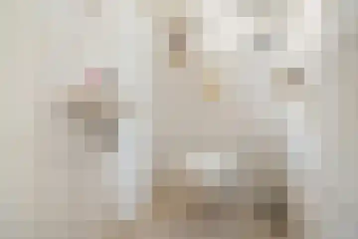 Esdoornlaan 22 Emmer-Compascuum thumbnail 7