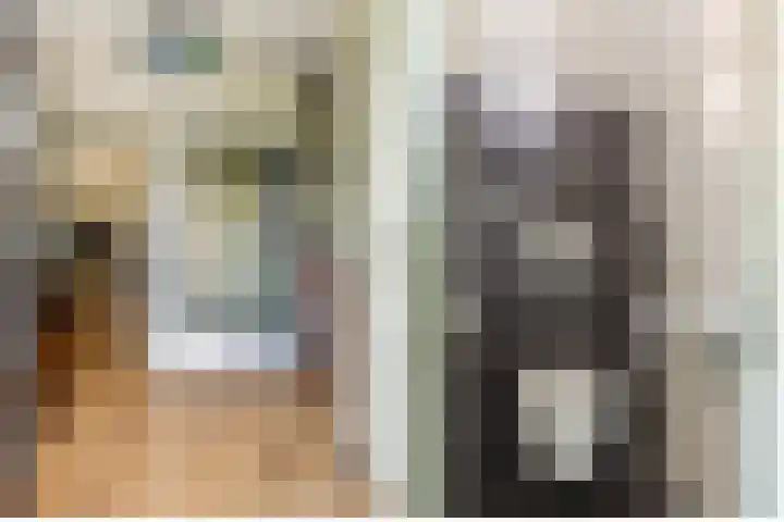 Esdoornlaan 22 Haaren thumbnail 14