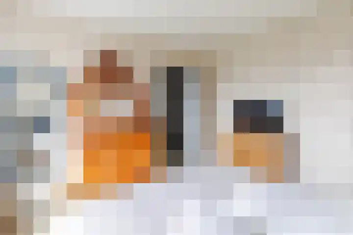 Esdoornlaan 22 Haaren thumbnail 17