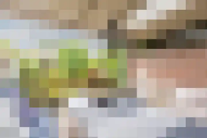 Esdoornlaan 22 Haaren thumbnail 28