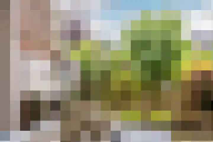 Esdoornlaan 22 Haaren thumbnail 29