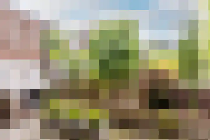 Esdoornlaan 22 Haaren thumbnail 30