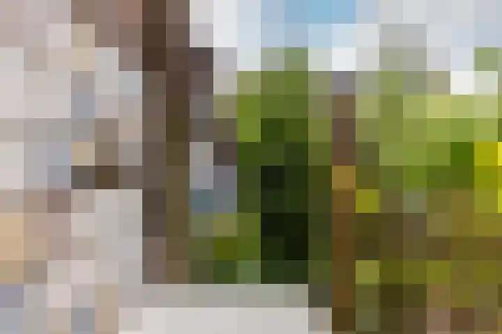 Esdoornlaan 22 Haaren thumbnail 31