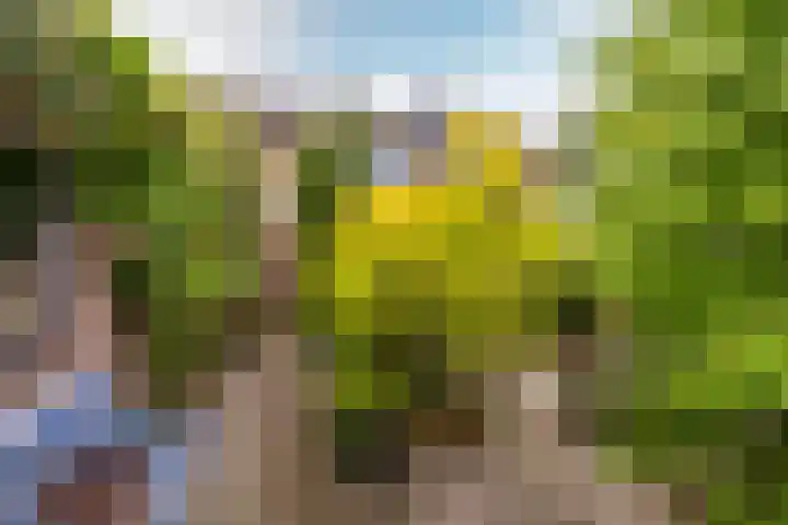 Esdoornlaan 22 Haaren thumbnail 34