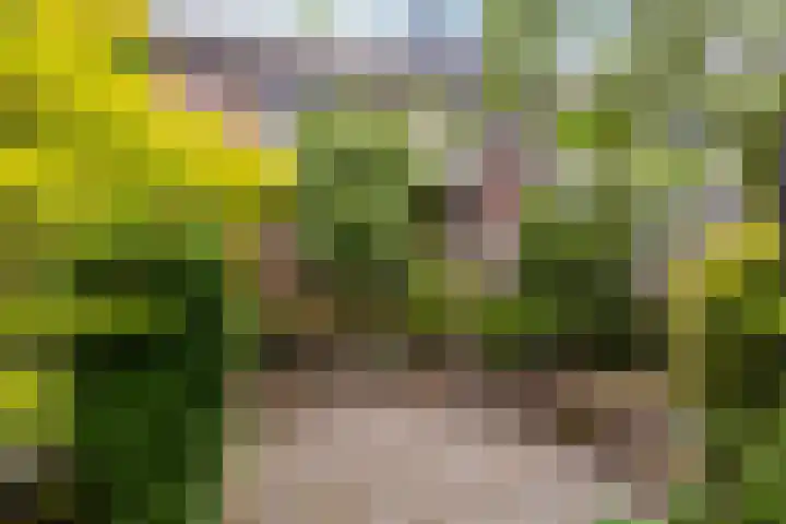 Esdoornlaan 22 Haaren thumbnail 38
