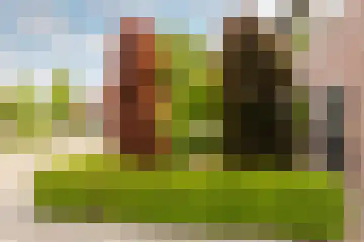 Esdoornlaan 22 Haaren thumbnail 42