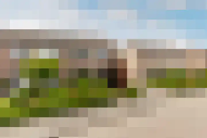 Esdoornlaan 22 Haaren thumbnail 44