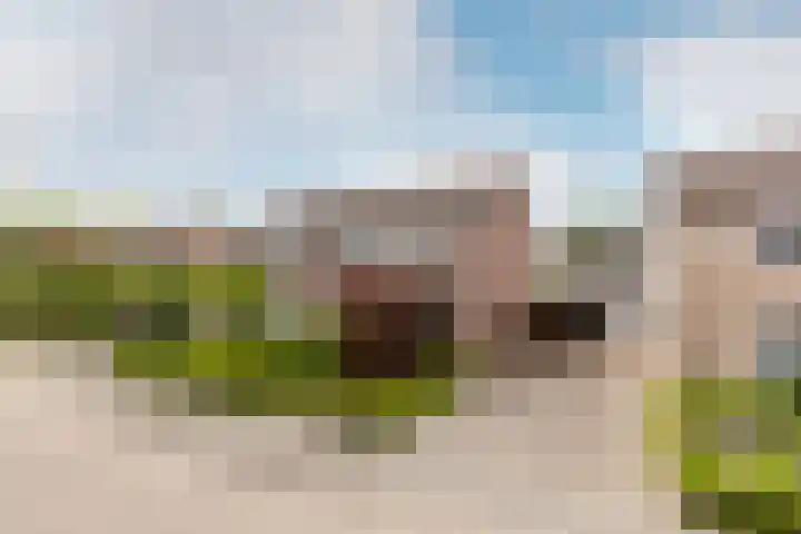 Esdoornlaan 22 Haaren thumbnail 45