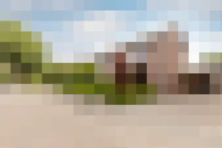 Esdoornlaan 22 Haaren thumbnail 46