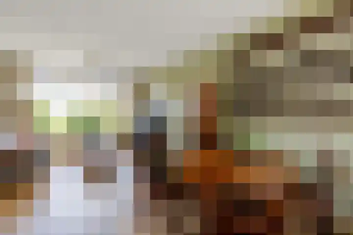 Esdoornlaan 22 Haaren thumbnail 5