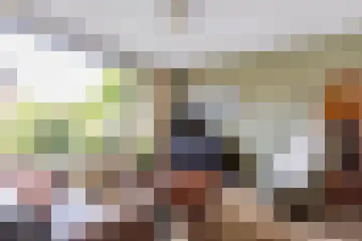 Esdoornlaan 22 Haaren thumbnail 6