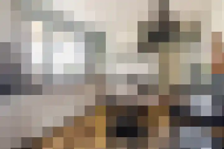 Esdoornlaan 22 Haaren thumbnail 9