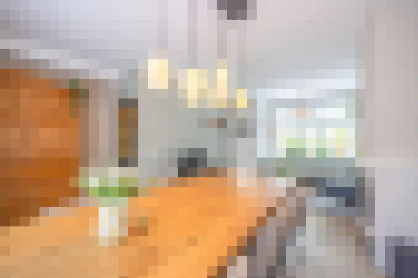 Esdoornlaan 22 Zaandijk thumbnail 11