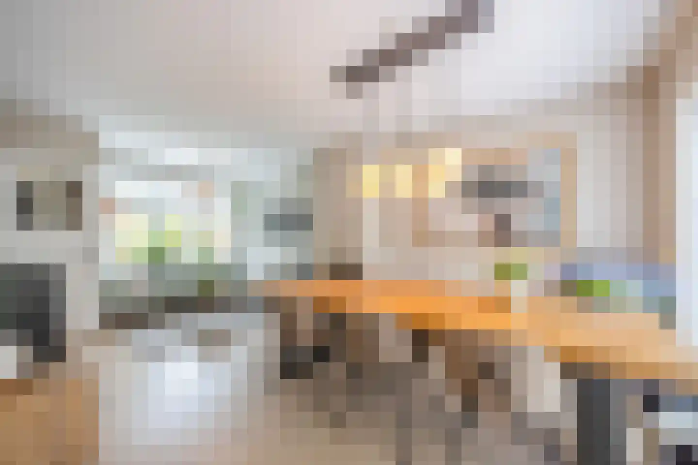 Esdoornlaan 22 Zaandijk thumbnail 12