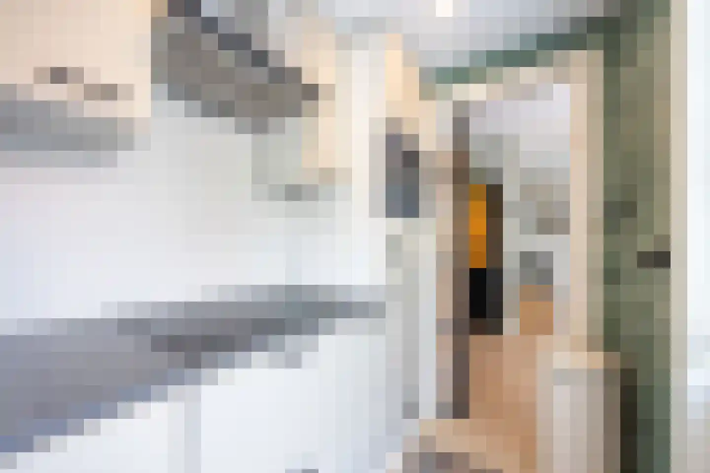 Esdoornlaan 22 Zaandijk thumbnail 14