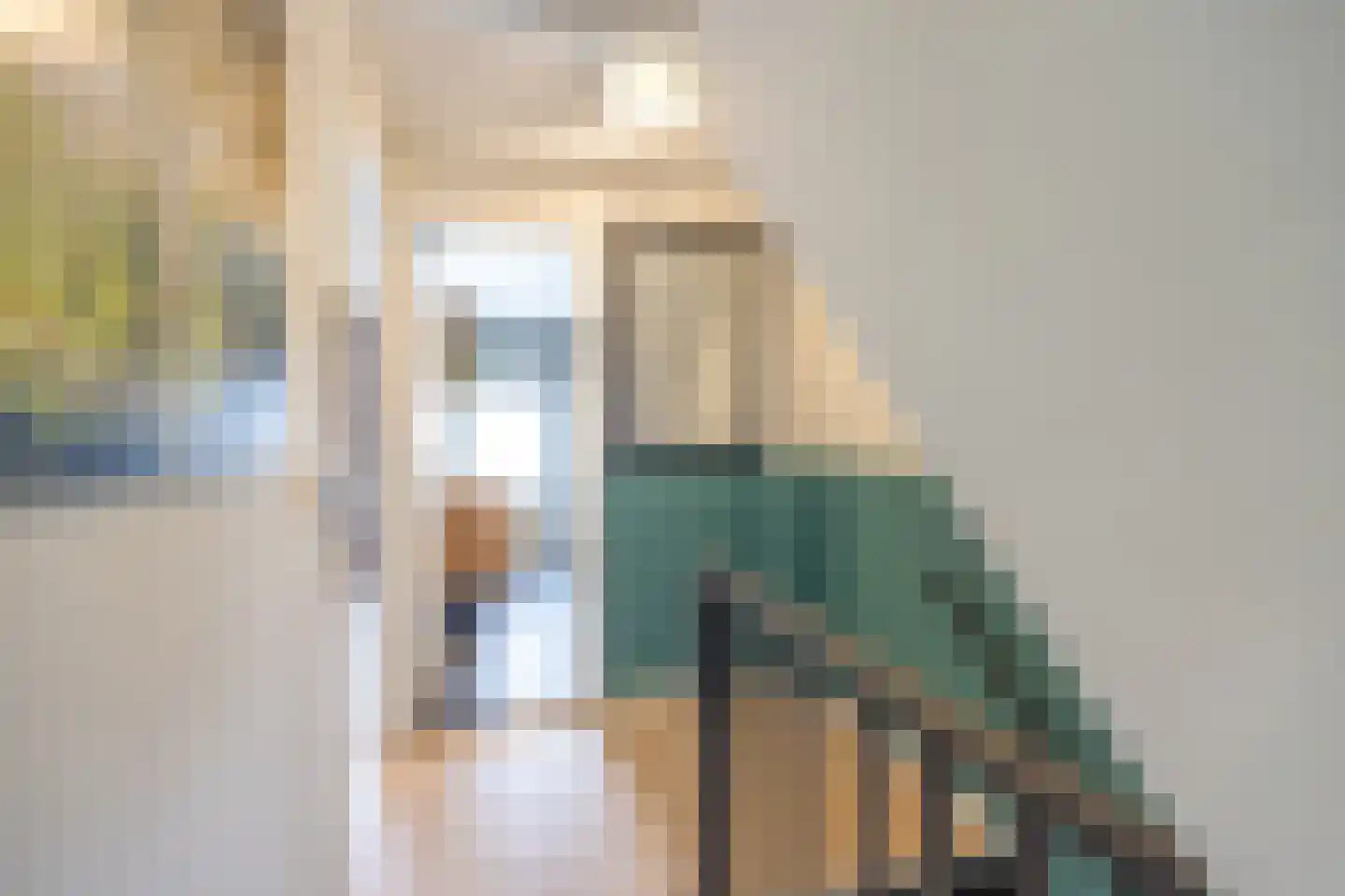 Esdoornlaan 22 Zaandijk thumbnail 15