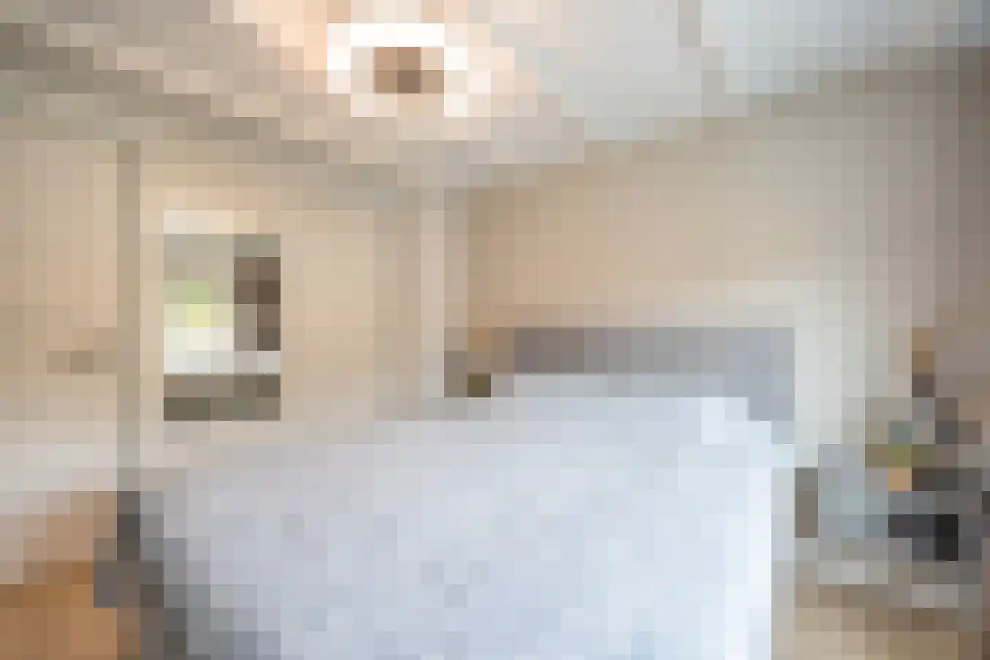 Esdoornlaan 22 Zaandijk thumbnail 17