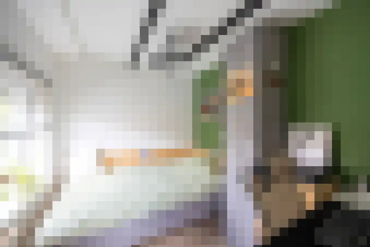 Esdoornlaan 22 Zaandijk thumbnail 19