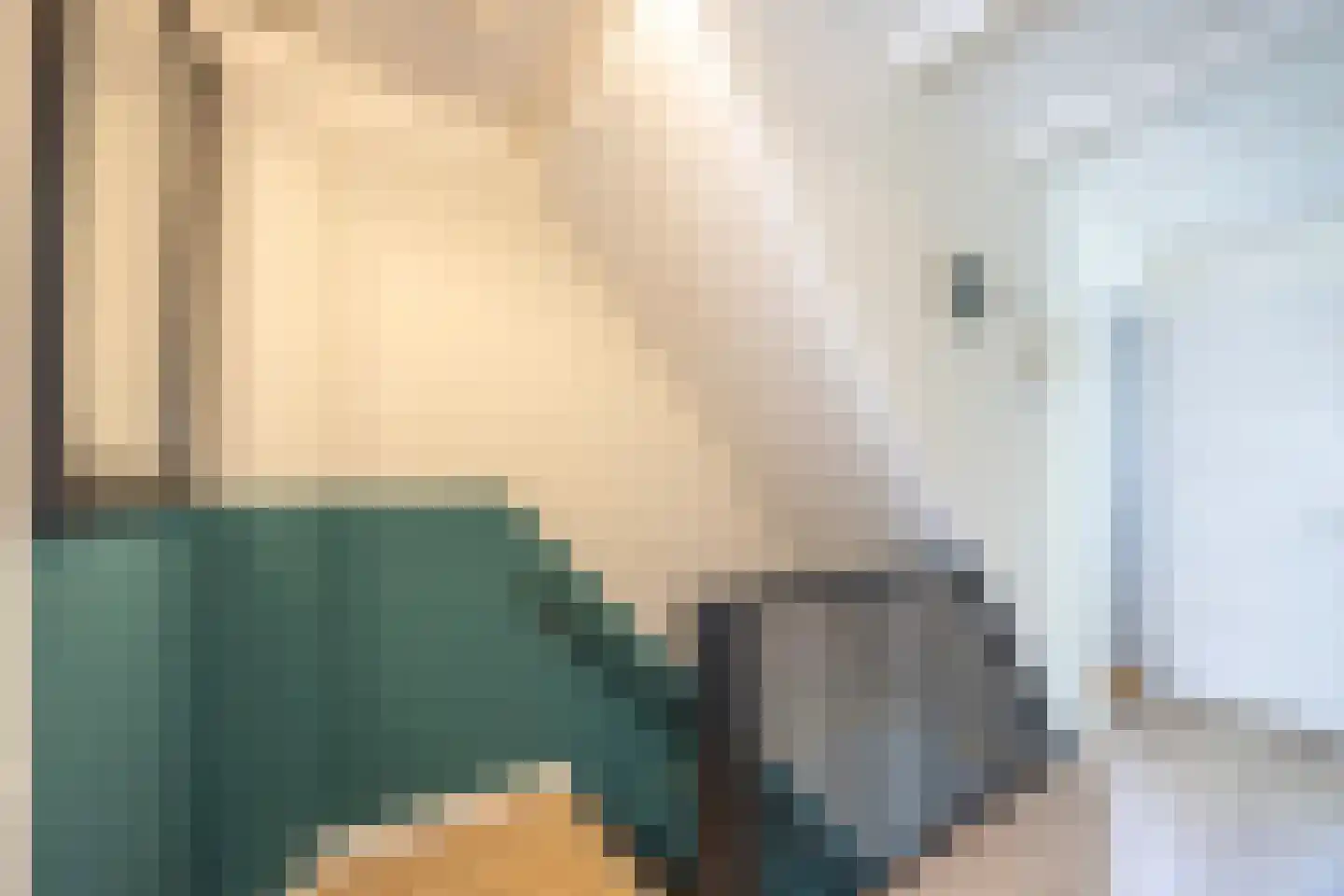 Esdoornlaan 22 Zaandijk thumbnail 26