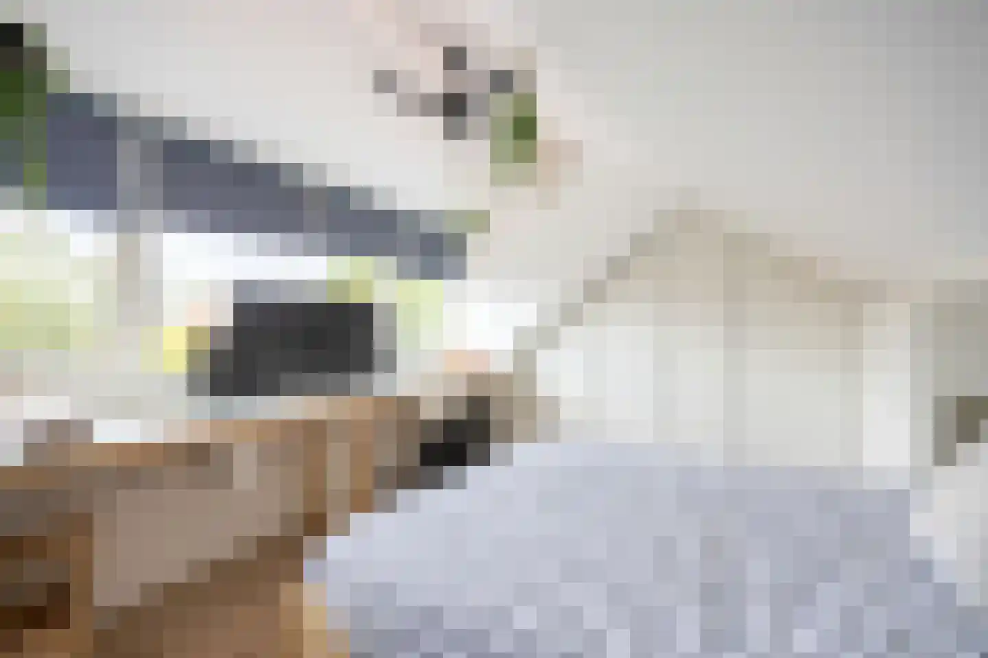 Esdoornlaan 22 Zaandijk thumbnail 27