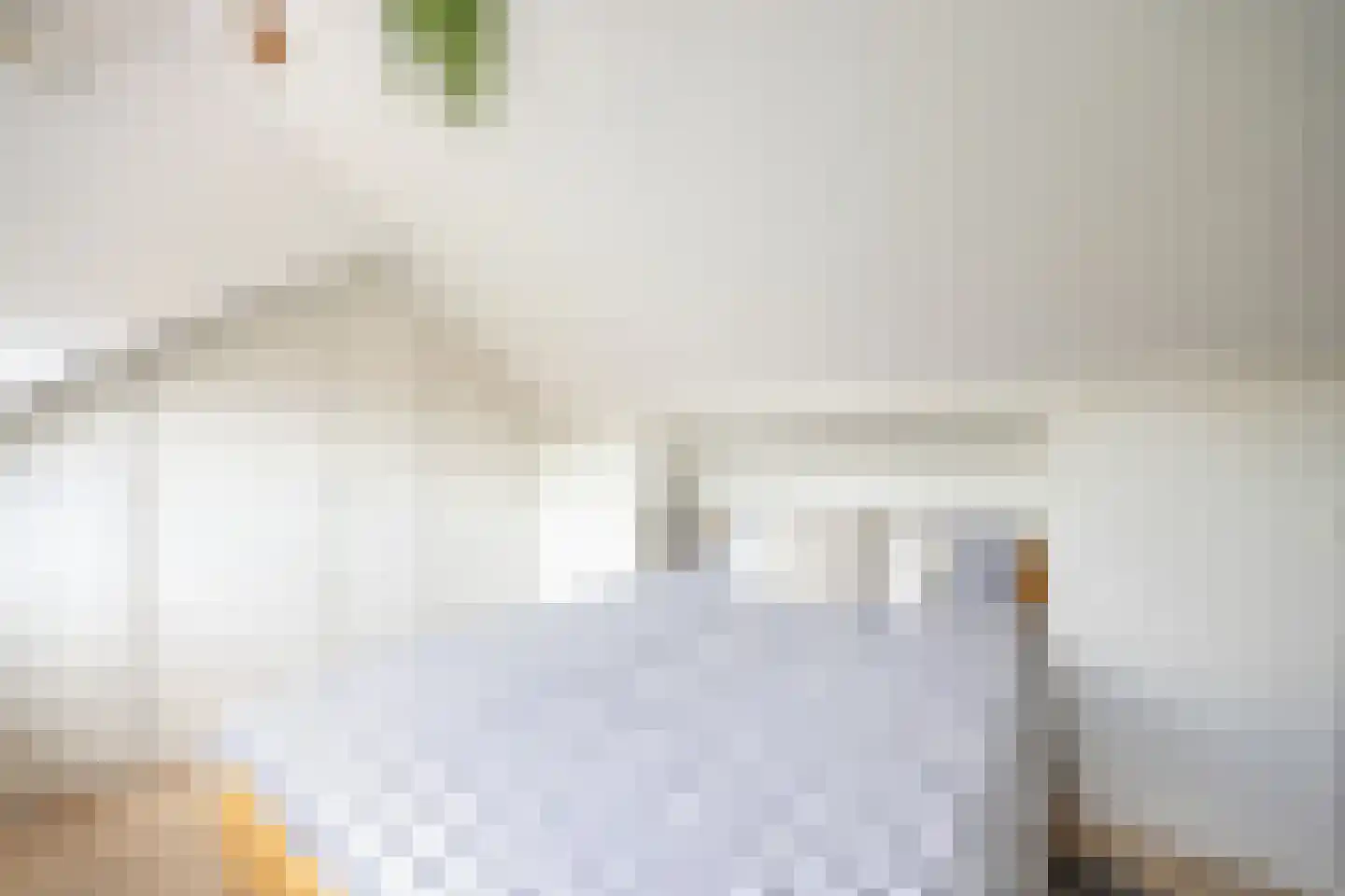Esdoornlaan 22 Zaandijk thumbnail 28