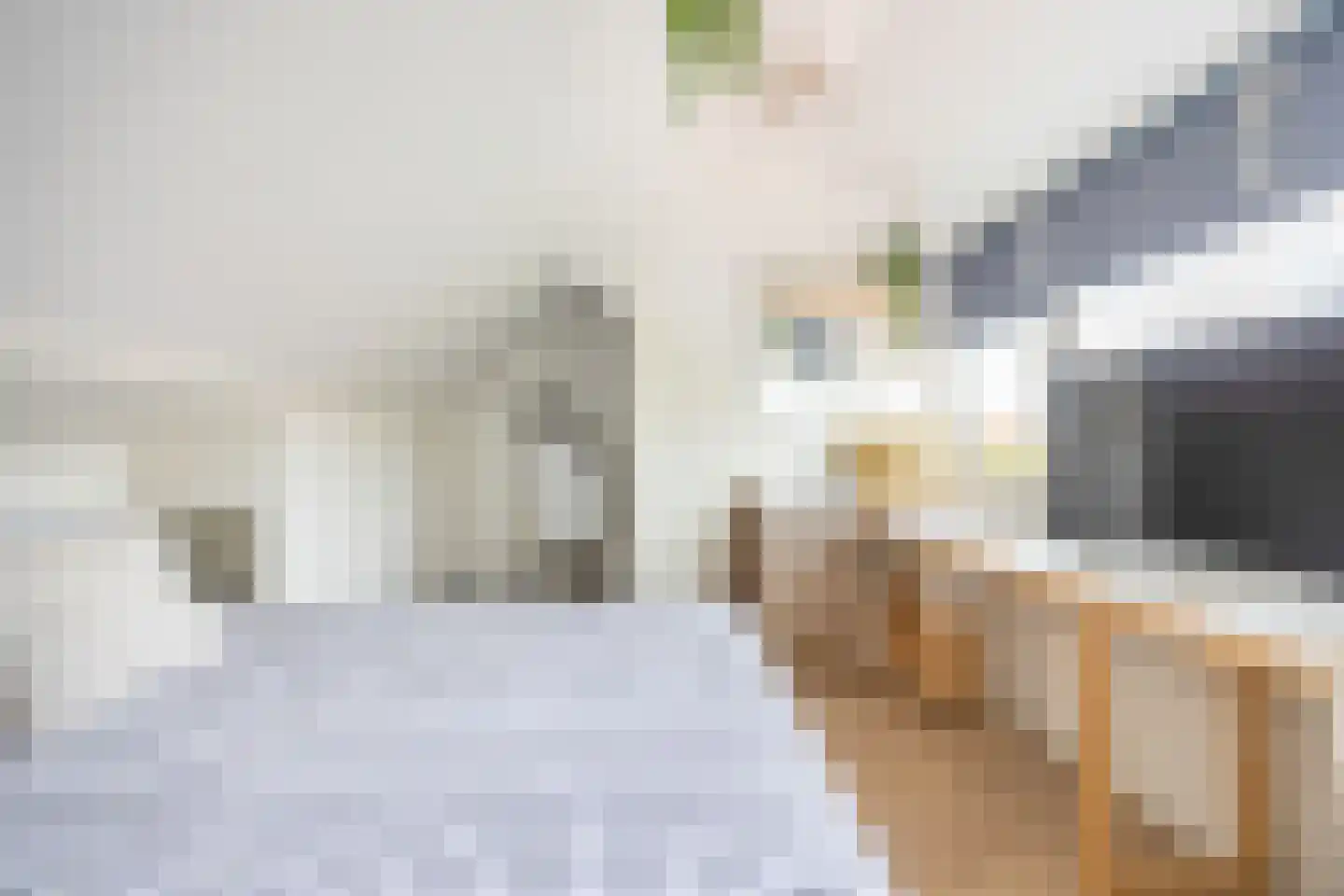 Esdoornlaan 22 Zaandijk thumbnail 29