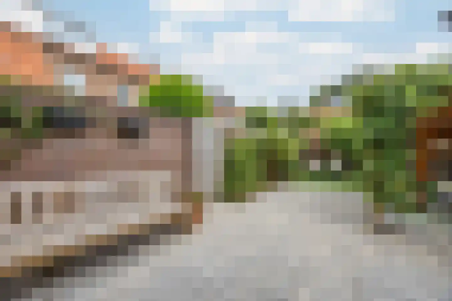 Esdoornlaan 22 Zaandijk thumbnail 30