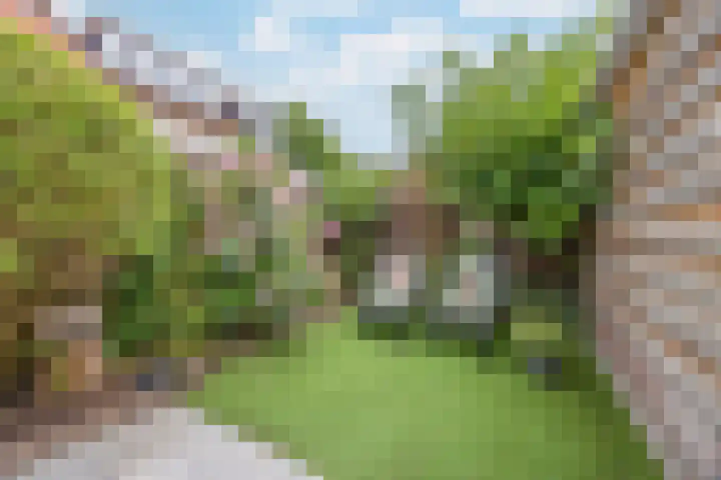 Esdoornlaan 22 Zaandijk thumbnail 32