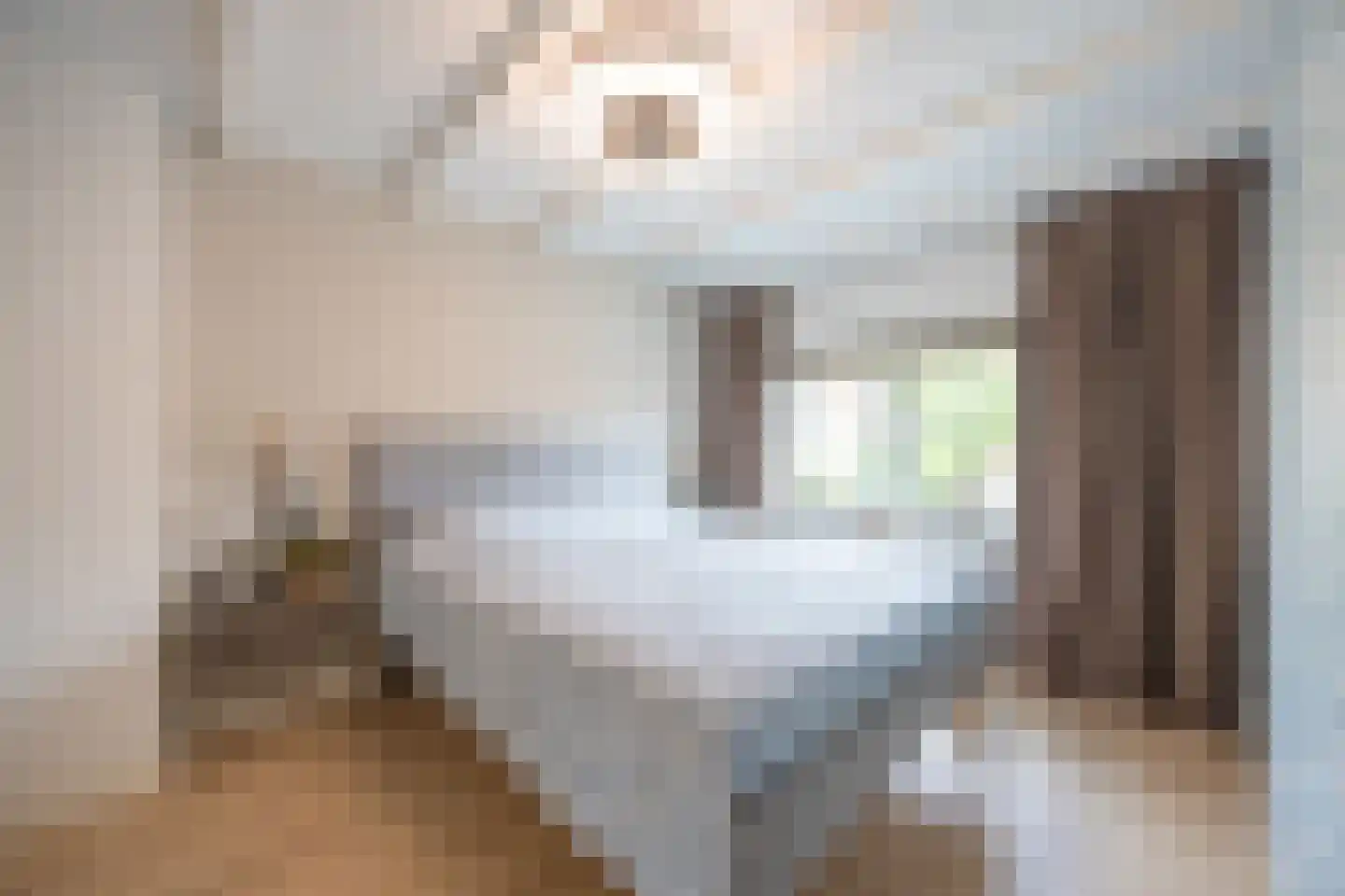 Esdoornlaan 22 Zaandijk thumbnail 4
