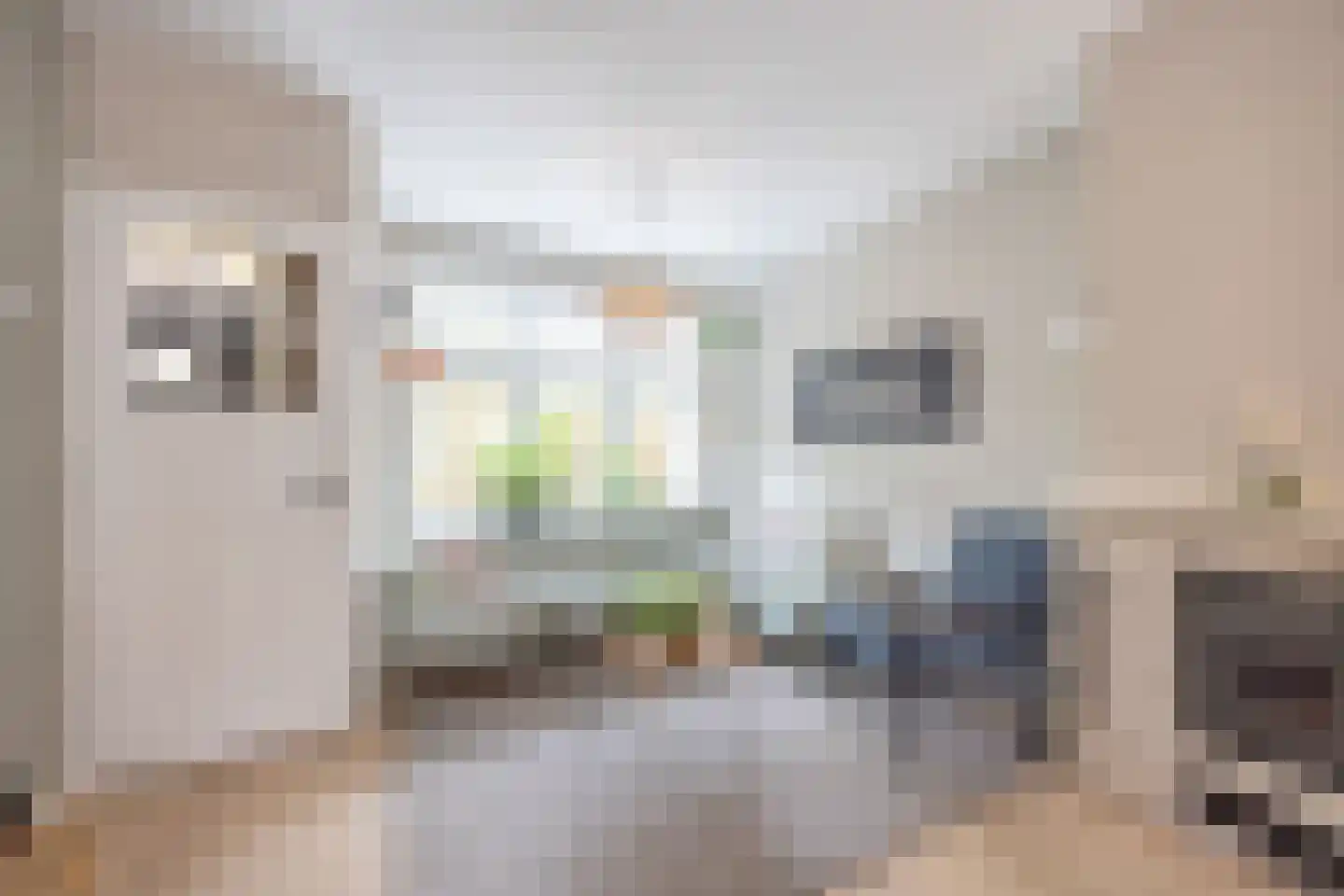 Esdoornlaan 22 Zaandijk thumbnail 8