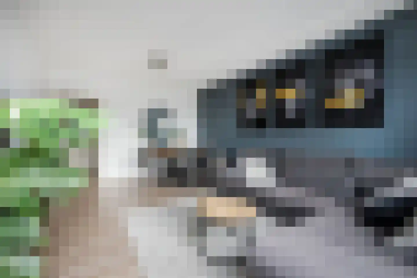 Esdoornlaan 22 Zwanenburg thumbnail 10