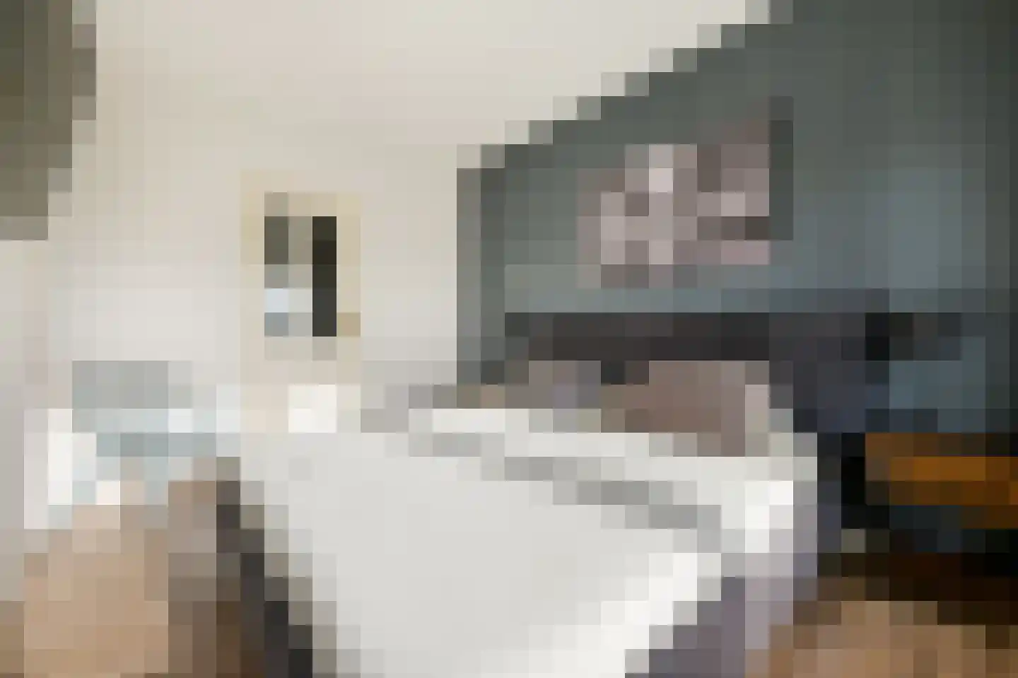 Esdoornlaan 22 Zwanenburg thumbnail 14