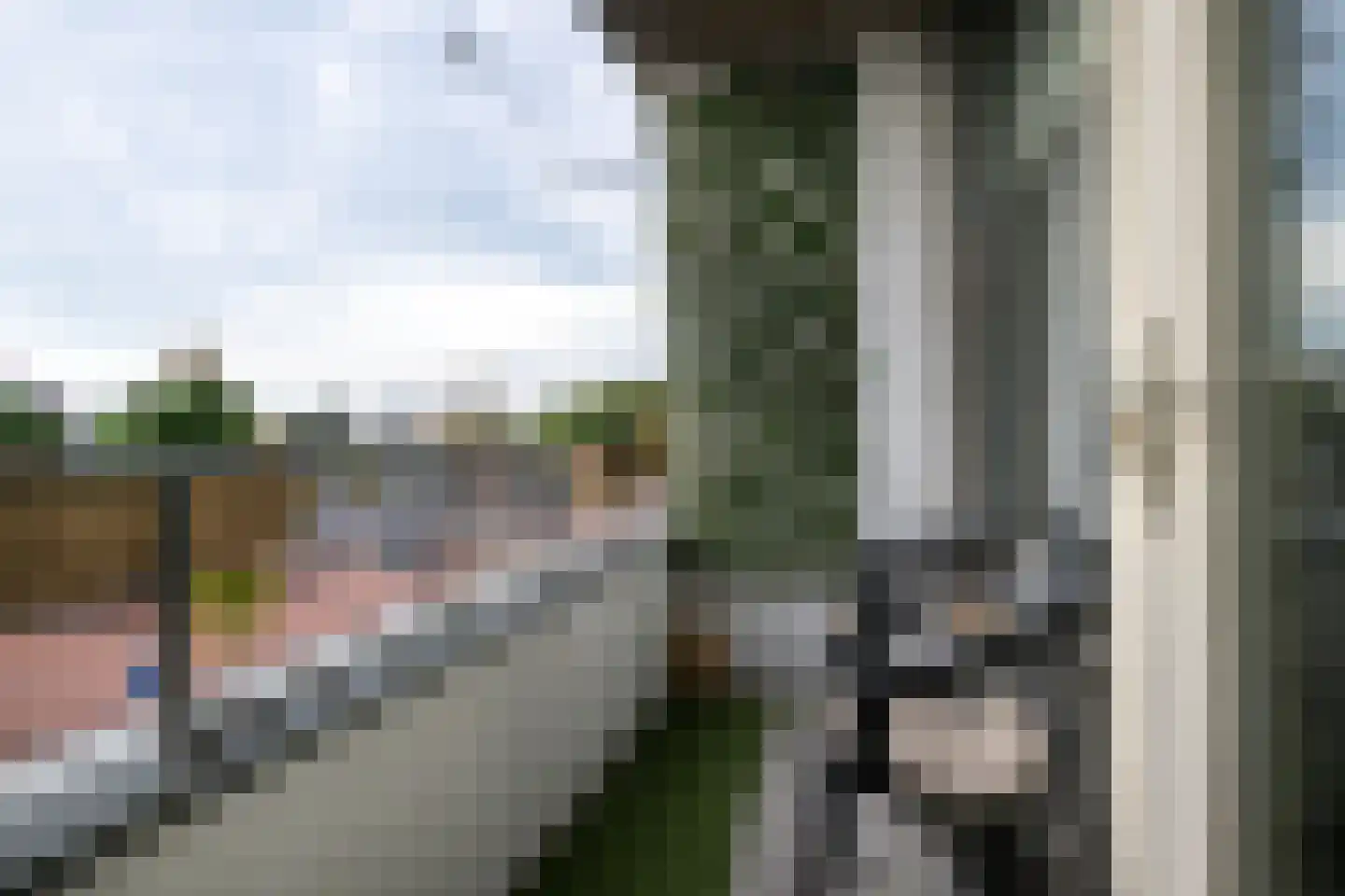 Esdoornlaan 22 Zwanenburg thumbnail 6