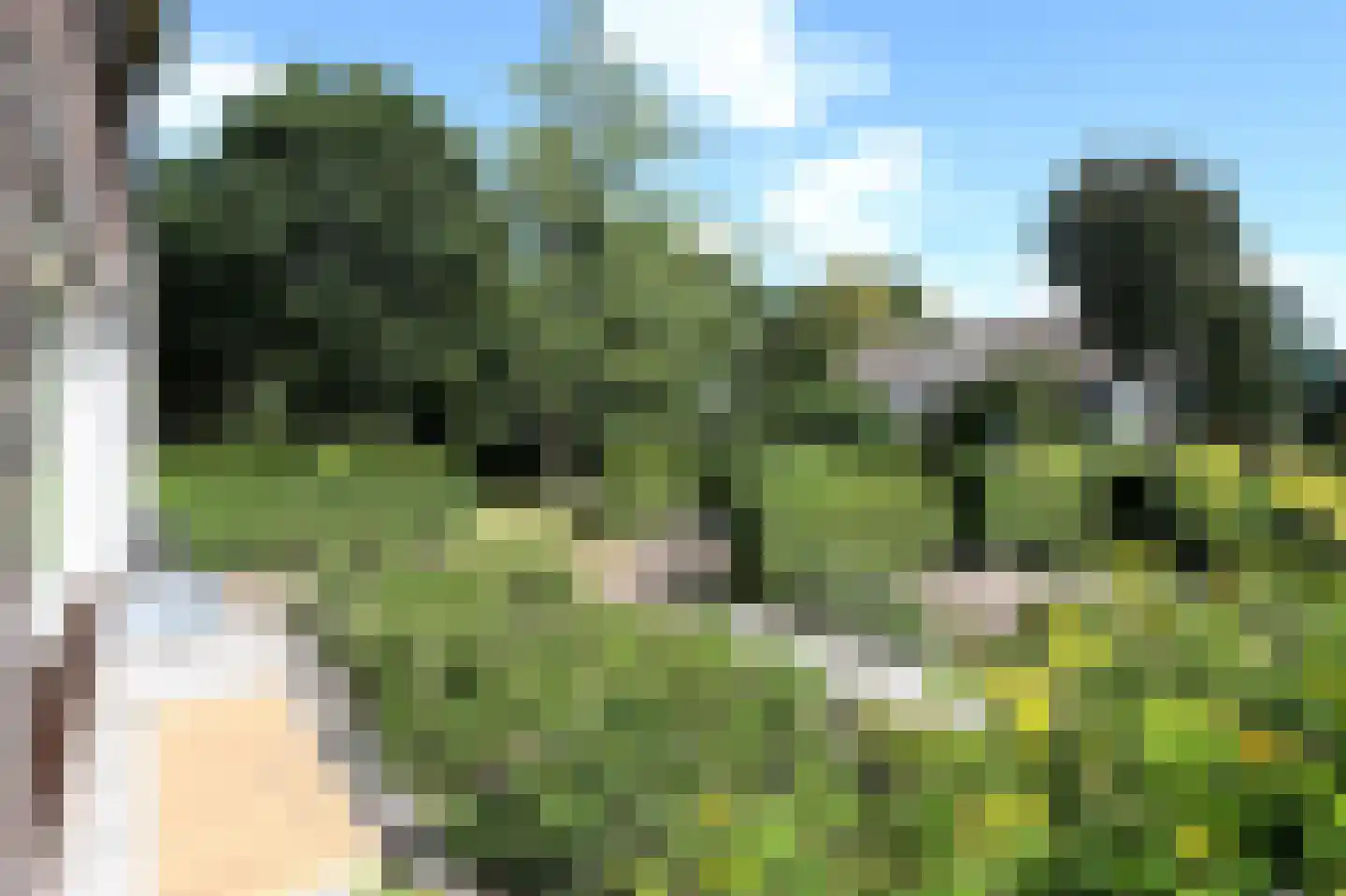 Esdoornlaan 23 Bovensmilde thumbnail 41