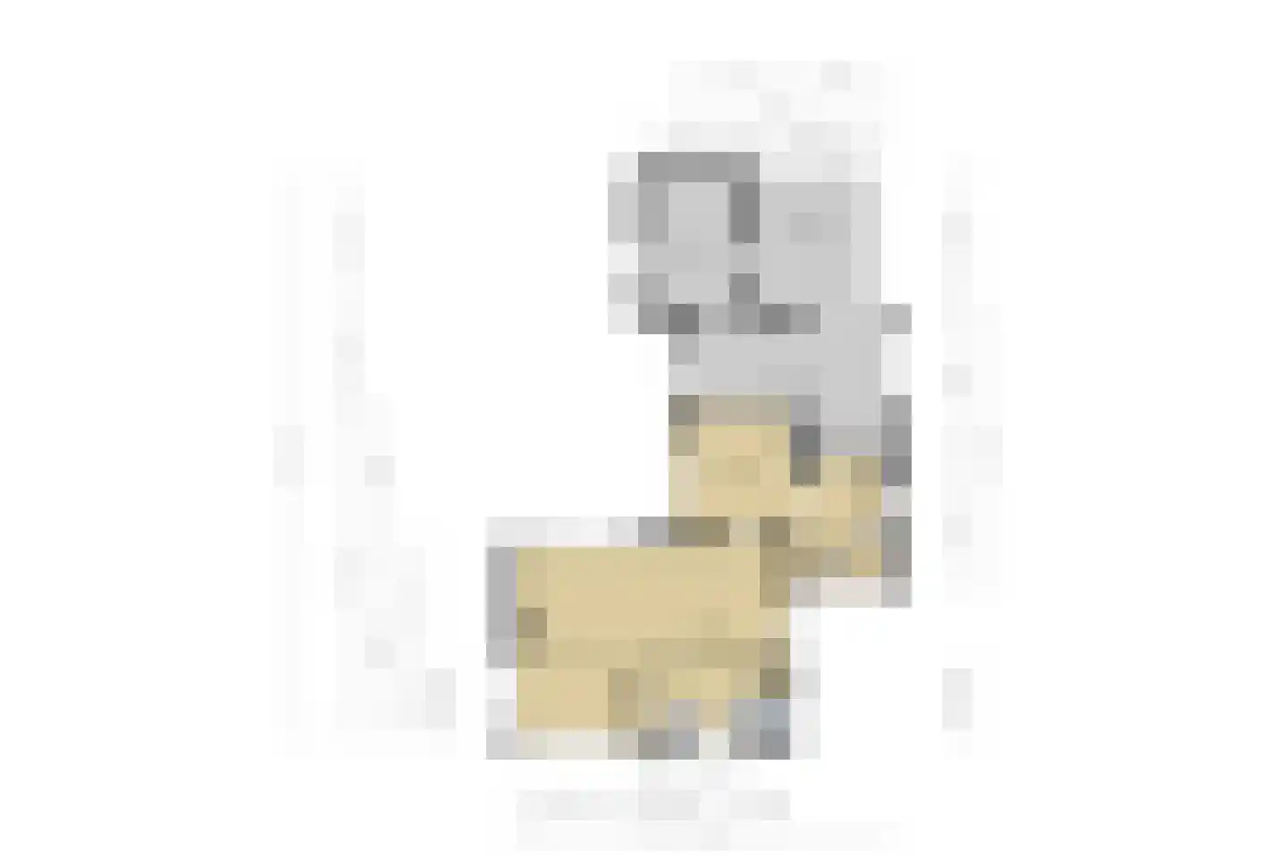 Esdoornlaan 23 Bovensmilde thumbnail 42