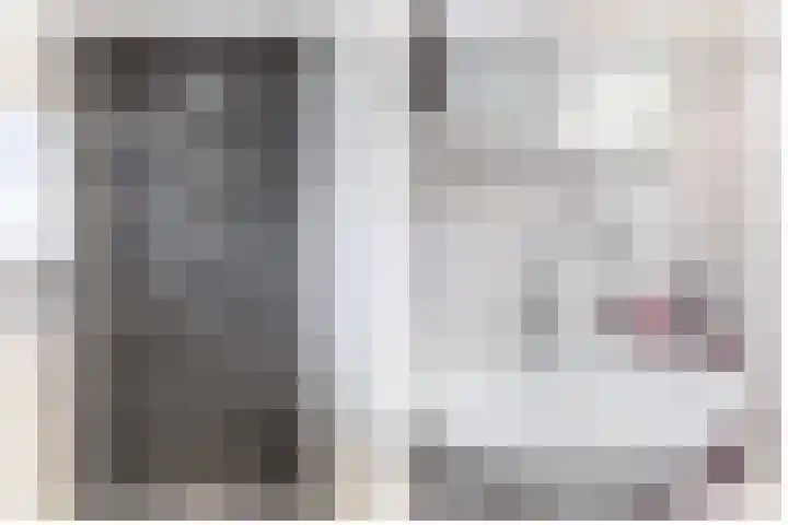 Esdoornlaan 23 Waddinxveen thumbnail 17