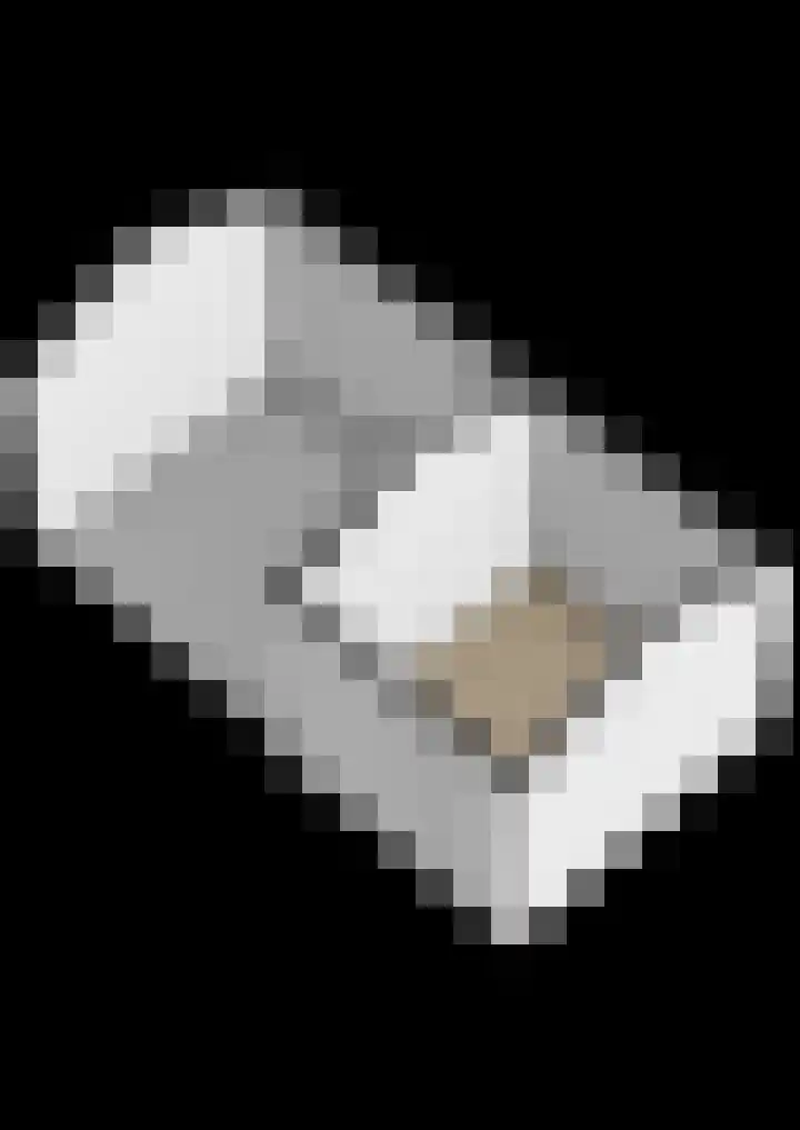 Esdoornlaan 23 Waddinxveen thumbnail 44