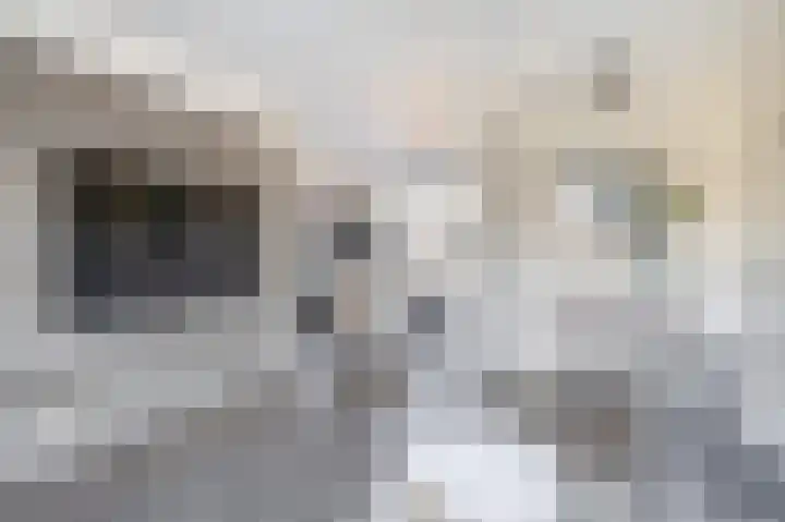 Esdoornlaan 23 Waddinxveen thumbnail 8