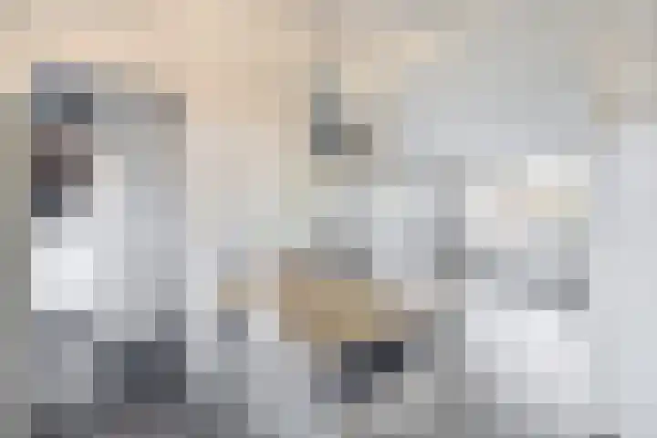Esdoornlaan 23 Waddinxveen thumbnail 9