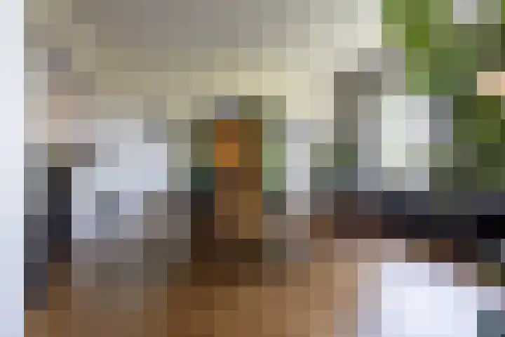 Esdoornlaan 23 Wormerveer thumbnail 10