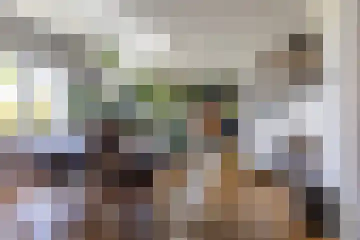 Esdoornlaan 23 Wormerveer thumbnail 13