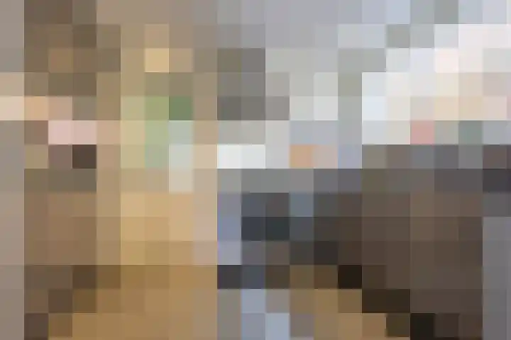 Esdoornlaan 23 Wormerveer thumbnail 14
