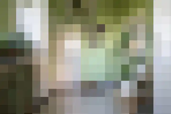 Esdoornlaan 23 Wormerveer thumbnail 16