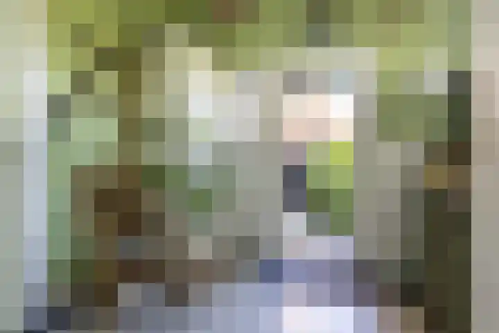 Esdoornlaan 23 Wormerveer thumbnail 17