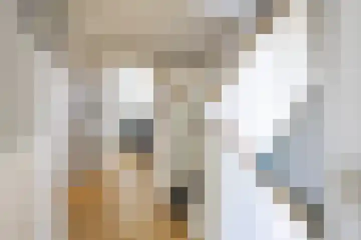 Esdoornlaan 23 Wormerveer thumbnail 19