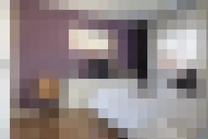Esdoornlaan 23 Wormerveer thumbnail 21