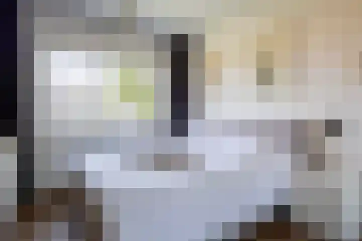Esdoornlaan 23 Wormerveer thumbnail 22