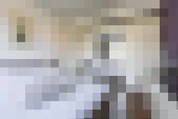Esdoornlaan 23 Wormerveer thumbnail 23