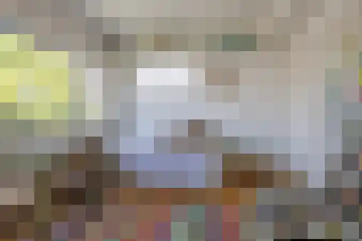Esdoornlaan 23 Wormerveer thumbnail 27