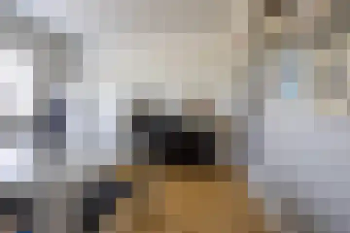 Esdoornlaan 23 Wormerveer thumbnail 30